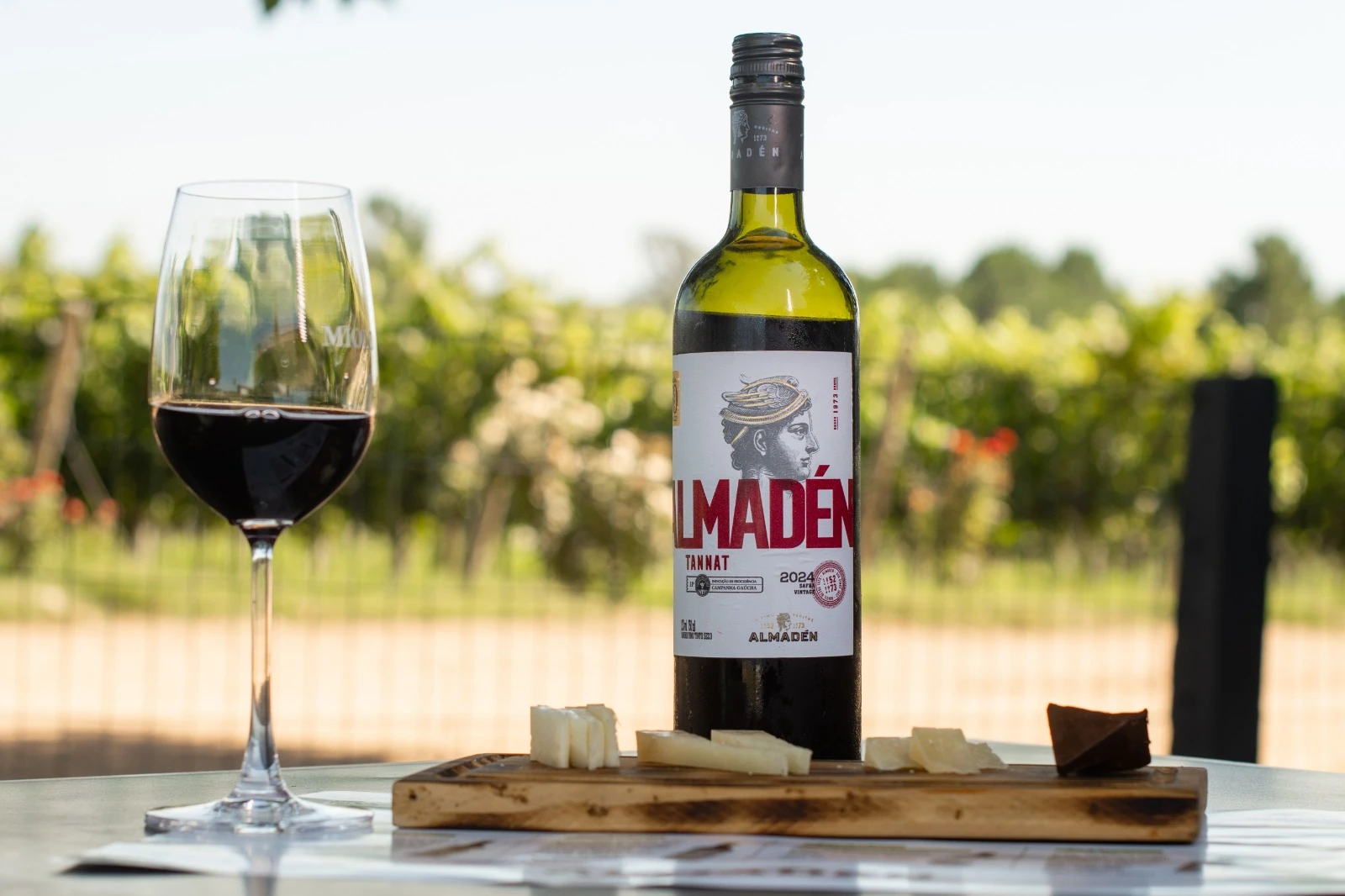 Almadén celebra 50 anos de Tannat com roteiro sensorial