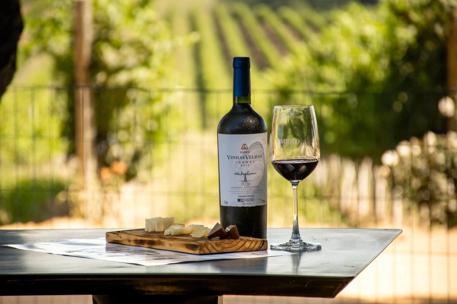 Almadén celebra 50 anos de Tannat com roteiro sensorial