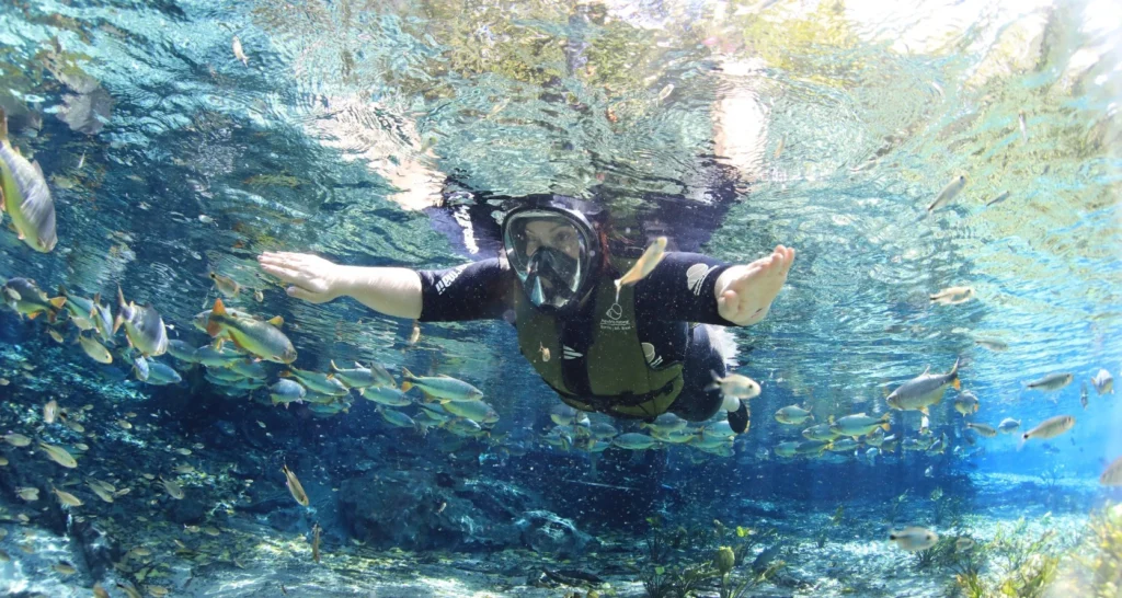 Mato Grosso do Sul mostra ao mundo seu turismo carbono neutro Mato Grosso do Sul mostra ao mundo seu turismo carbono neutro