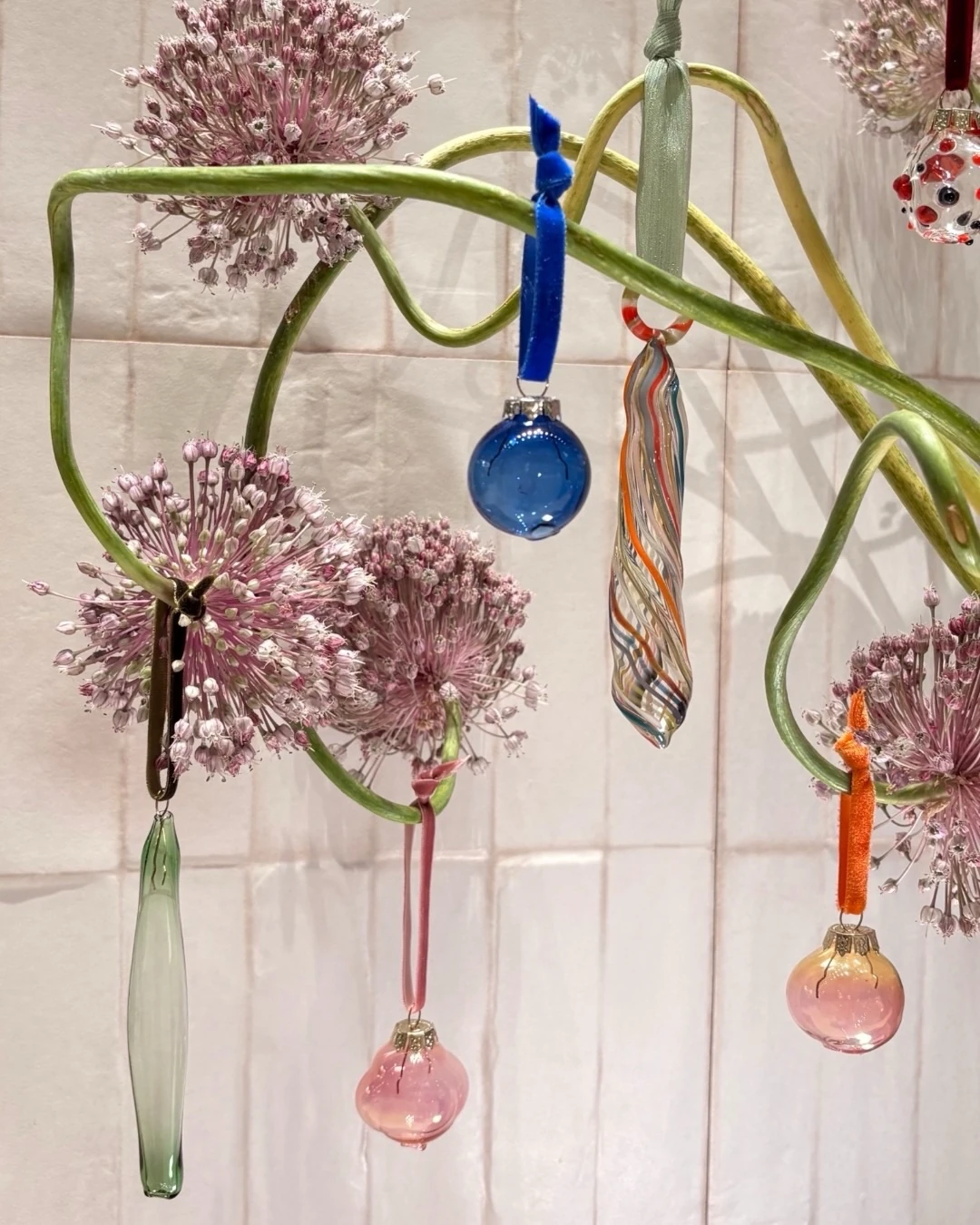 10 Marcas Nordestinas que Incendeiam o Carnaval