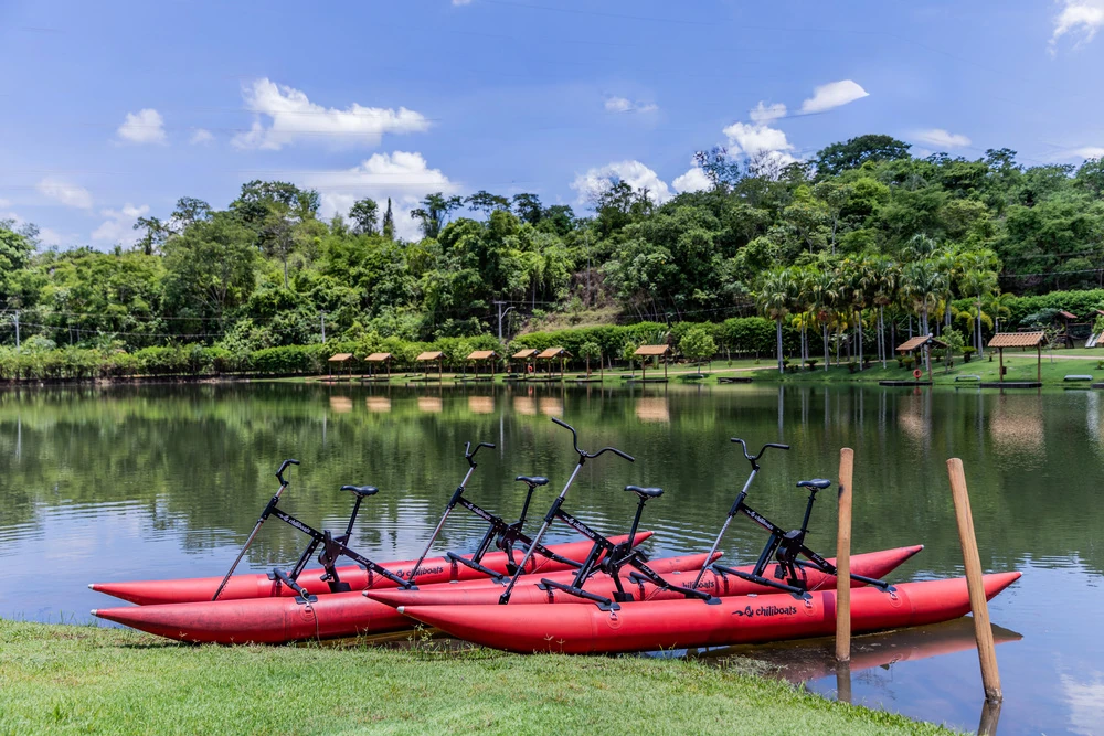 Carnaval 2026 no Arca Parque: shows e recreação em fevereiro