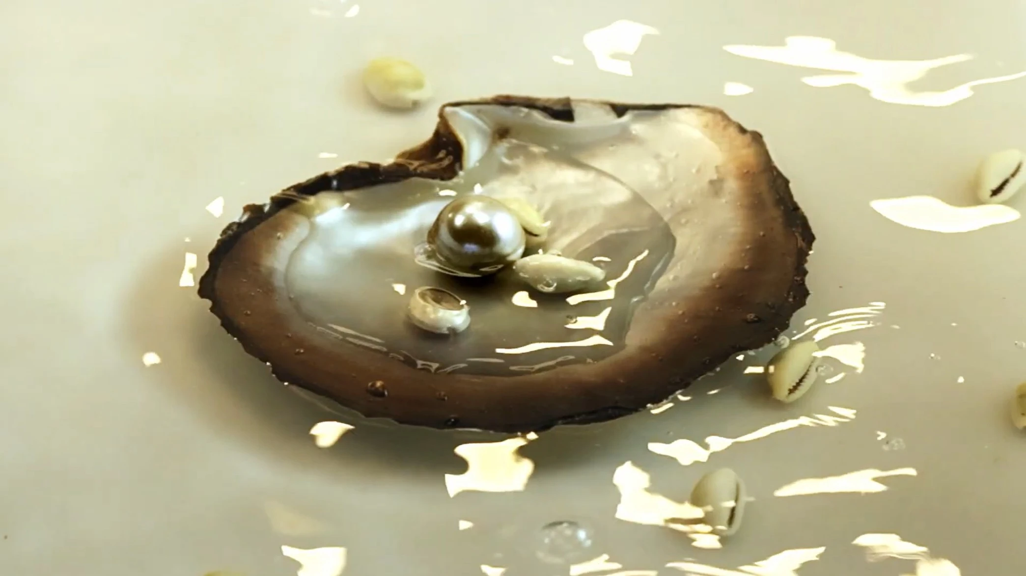 Festival de Videoarte da Simões de Assis tem 4ª edição