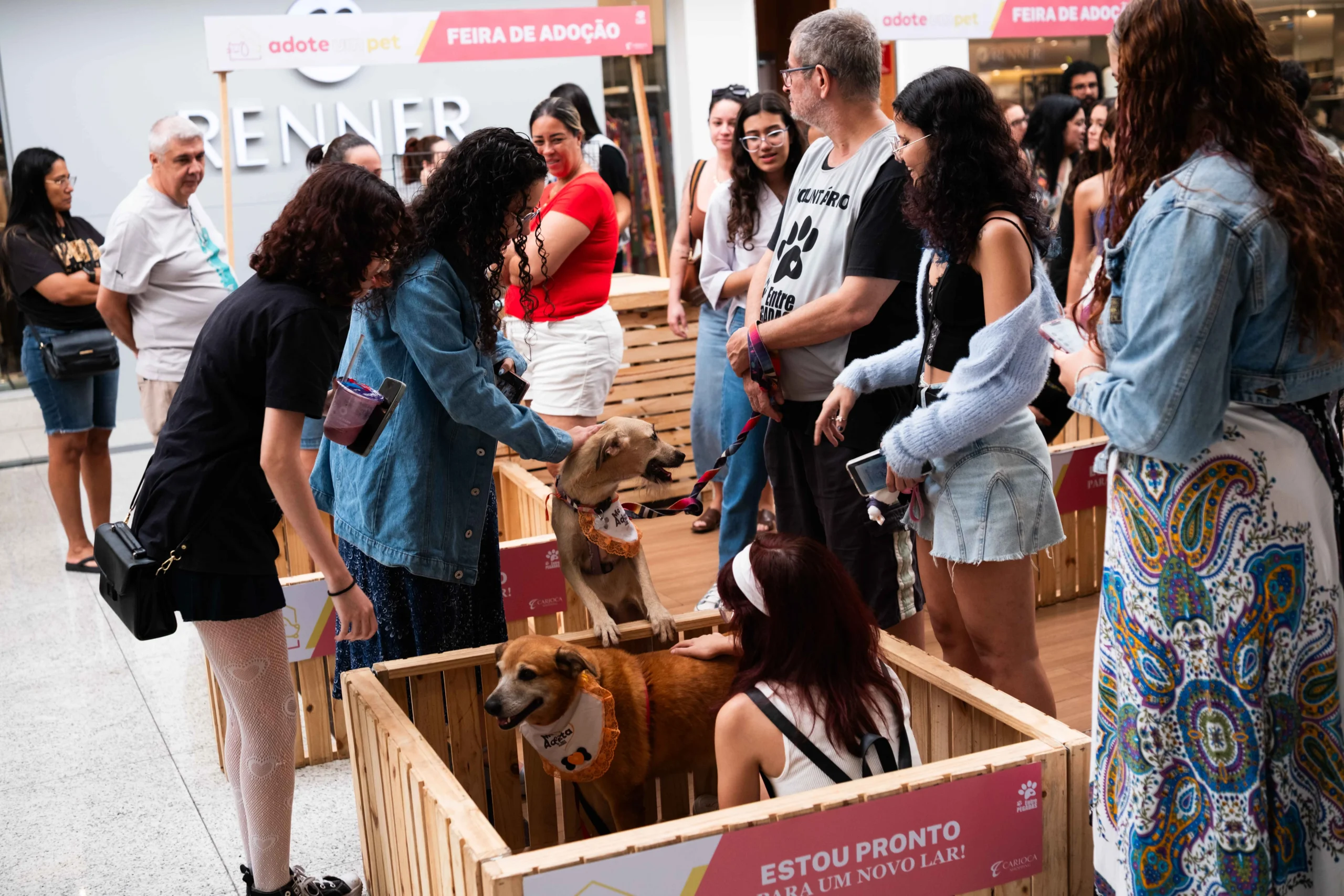Feira de Adoção Pet no Carioca Shopping transforma vidas