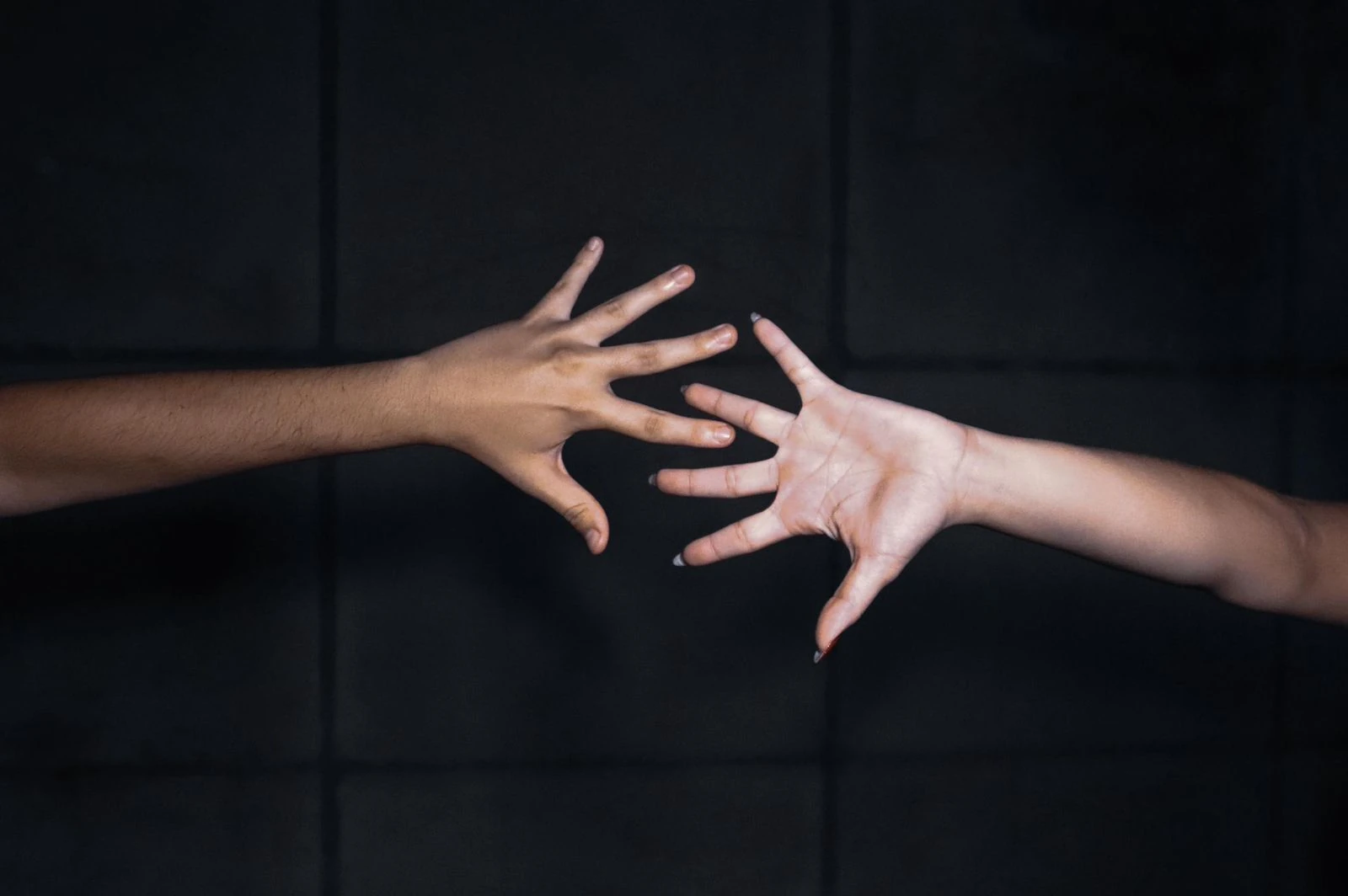 CarniSal leva vivências LGBTQIAPN+ a espaços populares do Rio