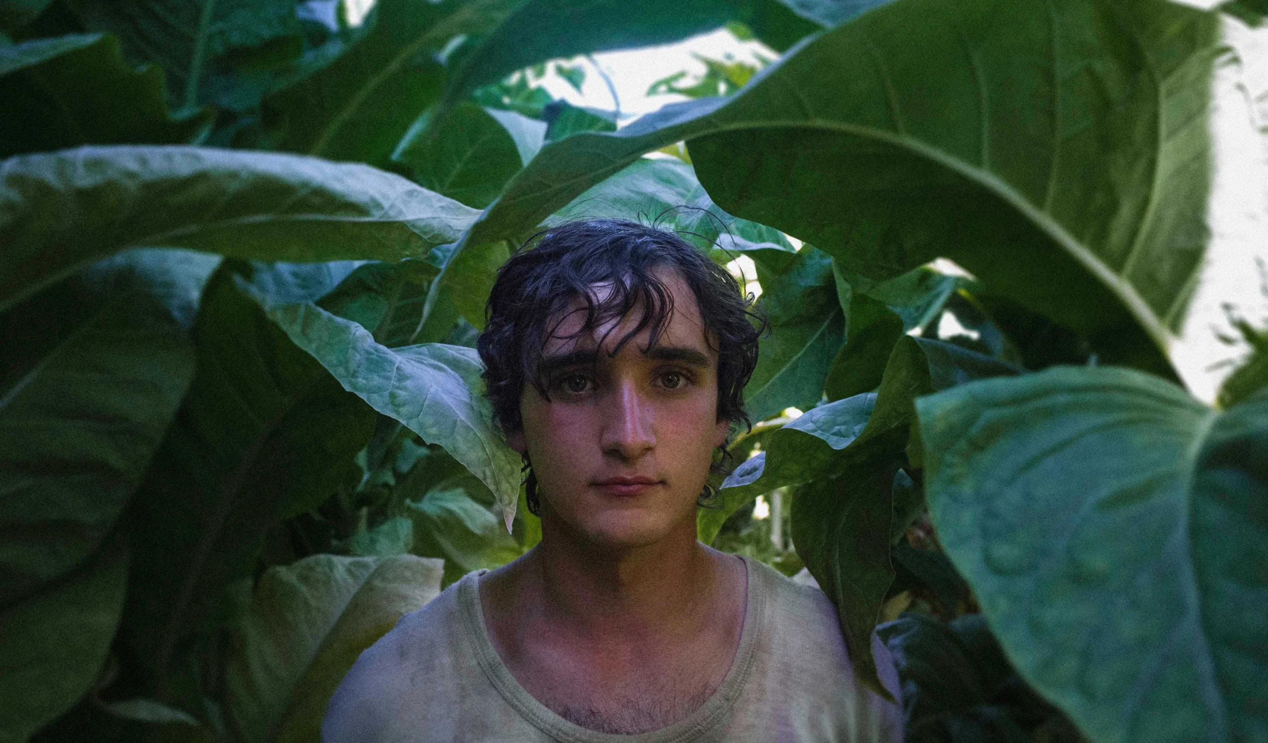 Cineasta italiana Alice Rohrwacher ganha mostra completa no Rio