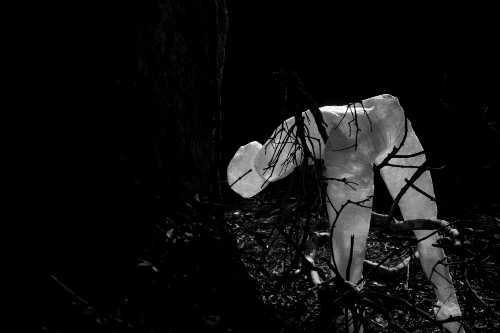 Lucas Flygare instala ‘teatro silencioso’ no MESC