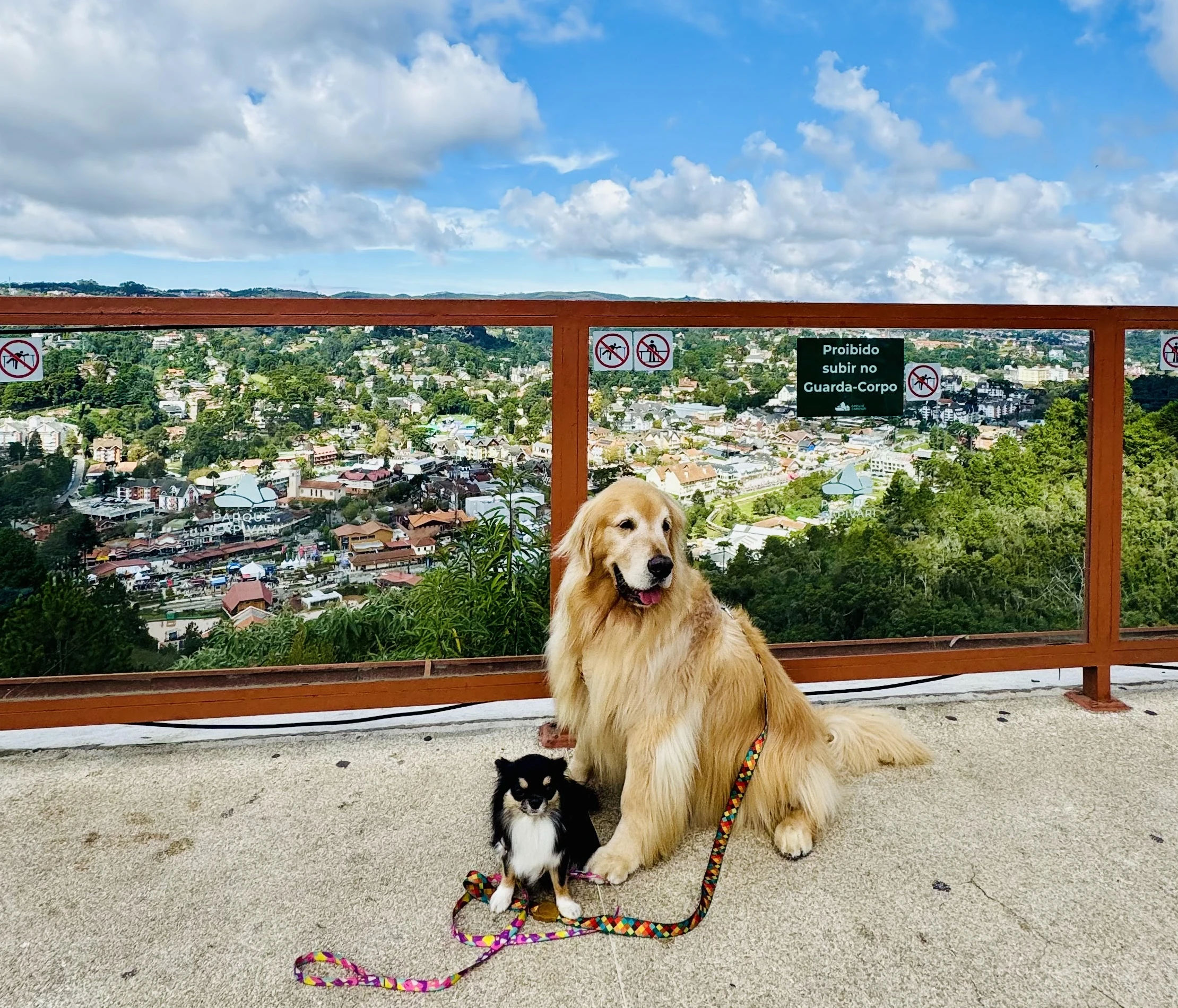 Carnaval pet friendly em Campos do Jordão: onde ir