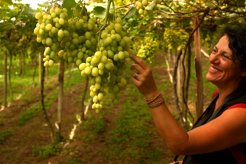 Abreu amplia Mulheres Preciosas com Turquia, Peru e Serra