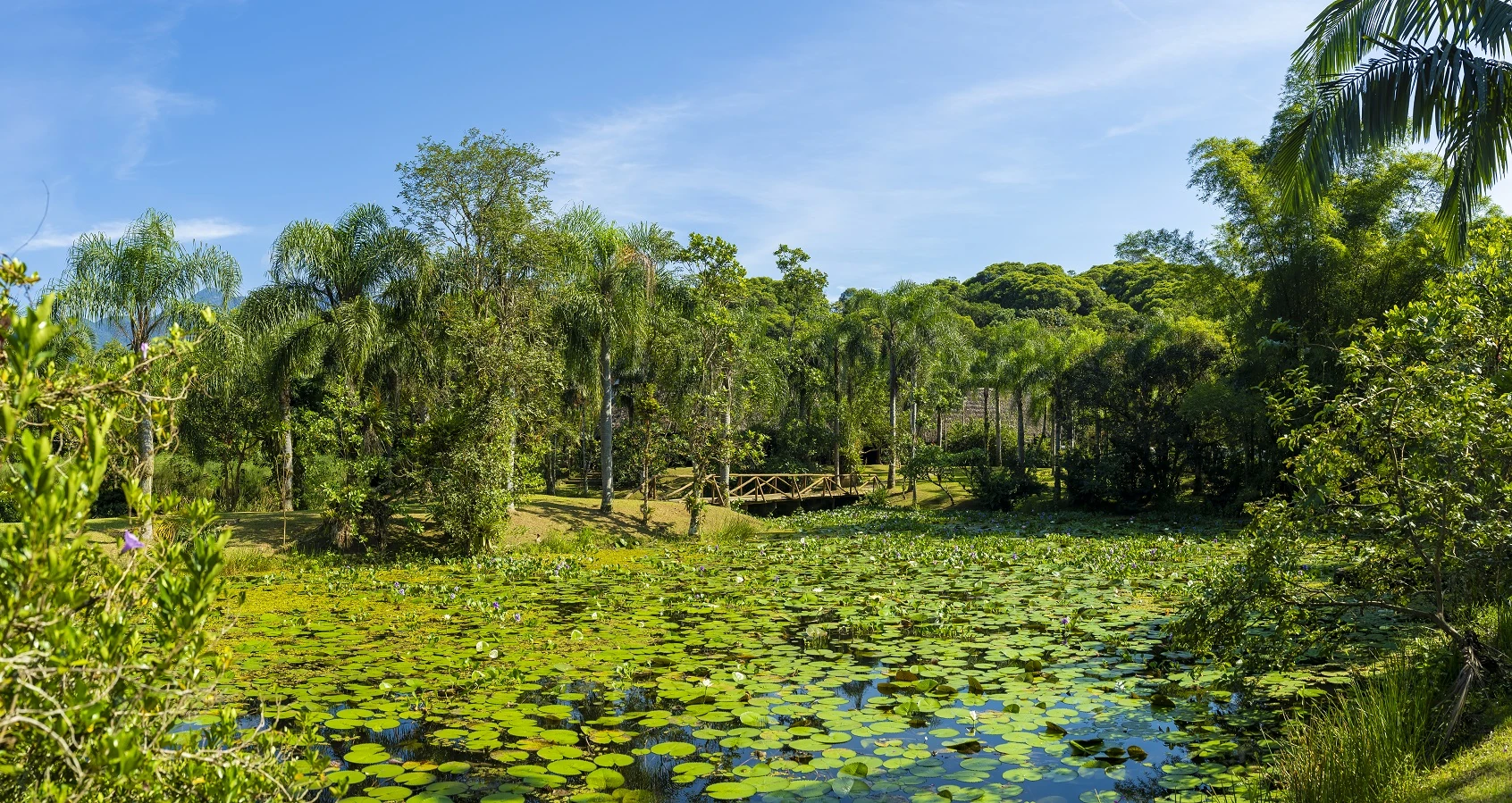 Curitiba no Carnaval: destino verde e cultural fora da rota dos blocos