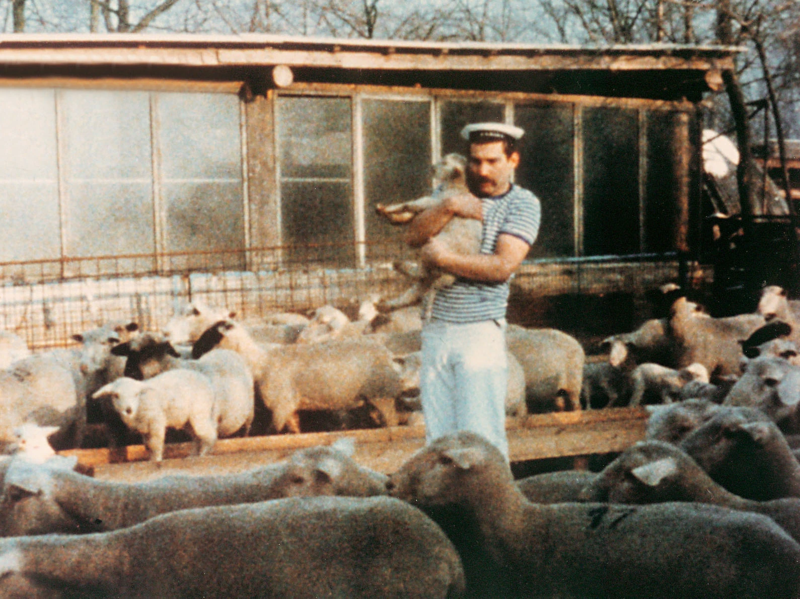 Cinema underground desafia normas em mostra franco-alemã no Rio