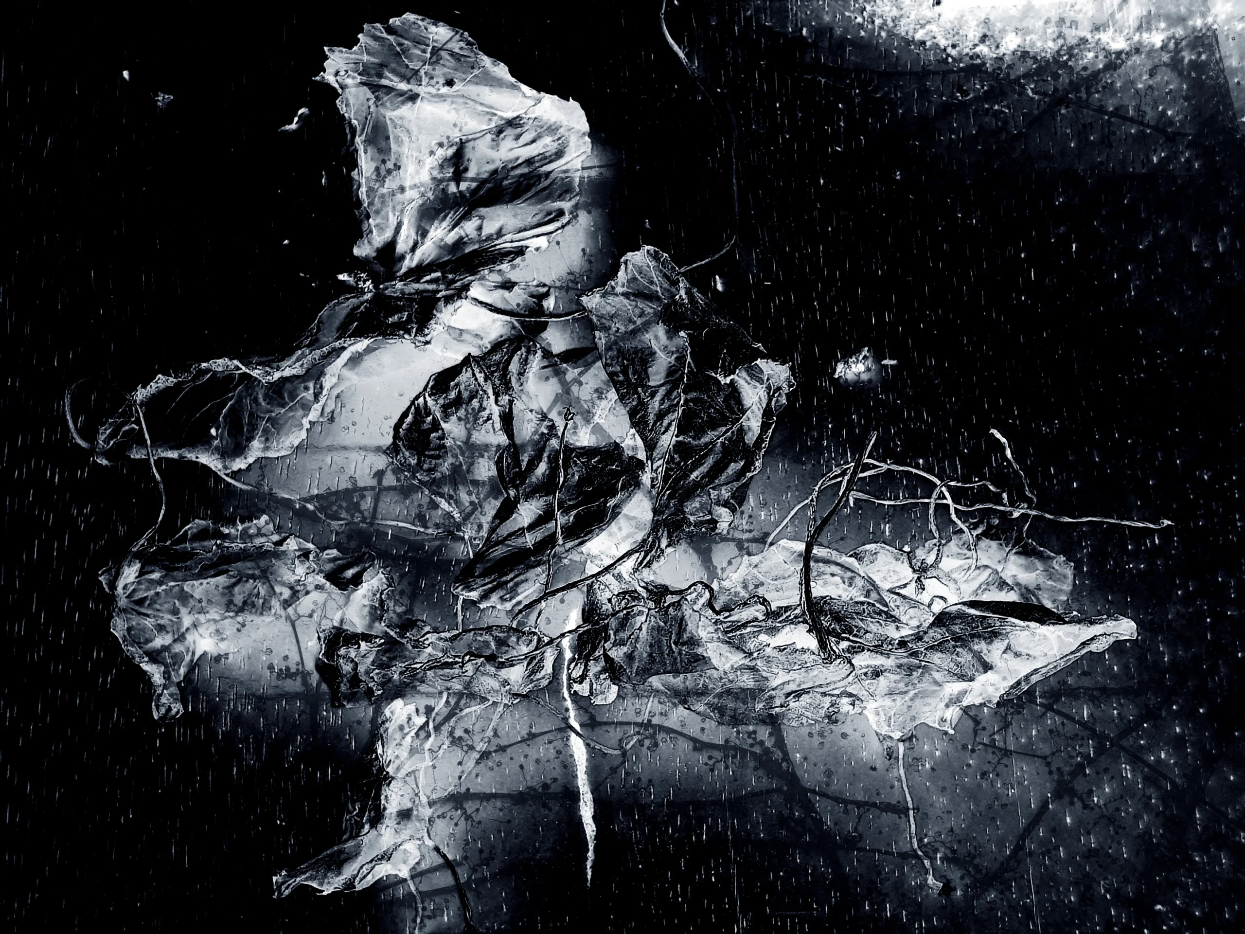 Encontro íntimo com Sandra Gonçalves na exposição da morte