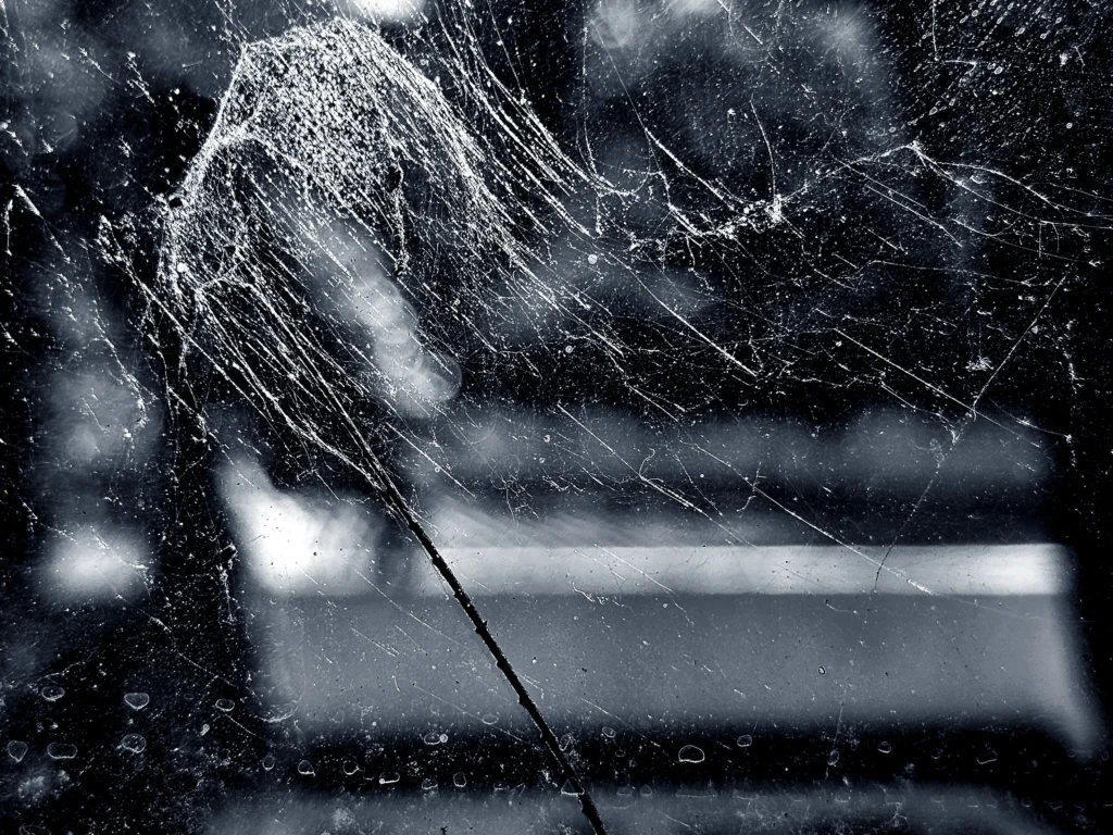 Sandra Gonçalves revela emoções em “Tessituras do Adeus”