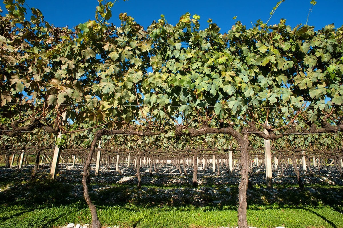 Abreu amplia Mulheres Preciosas com Turquia, Peru e Serra