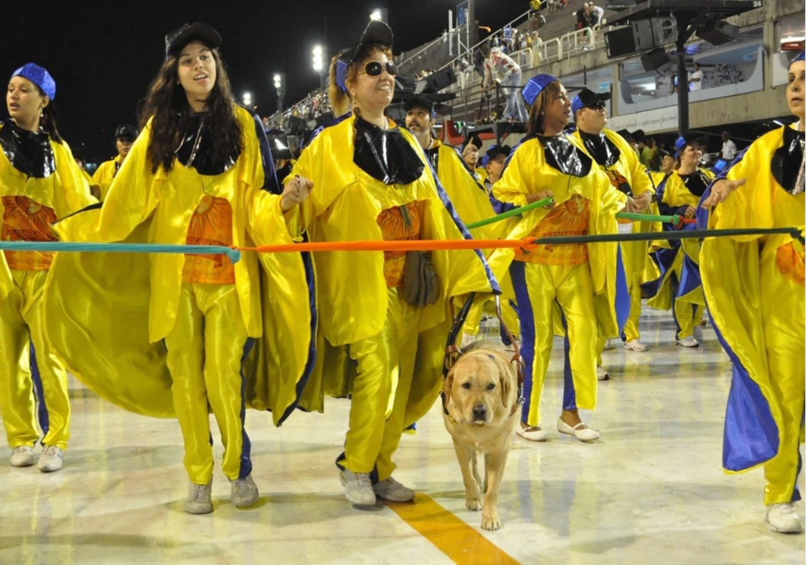 Embaixadores da Alegria: 20 anos e um Carnaval acessível