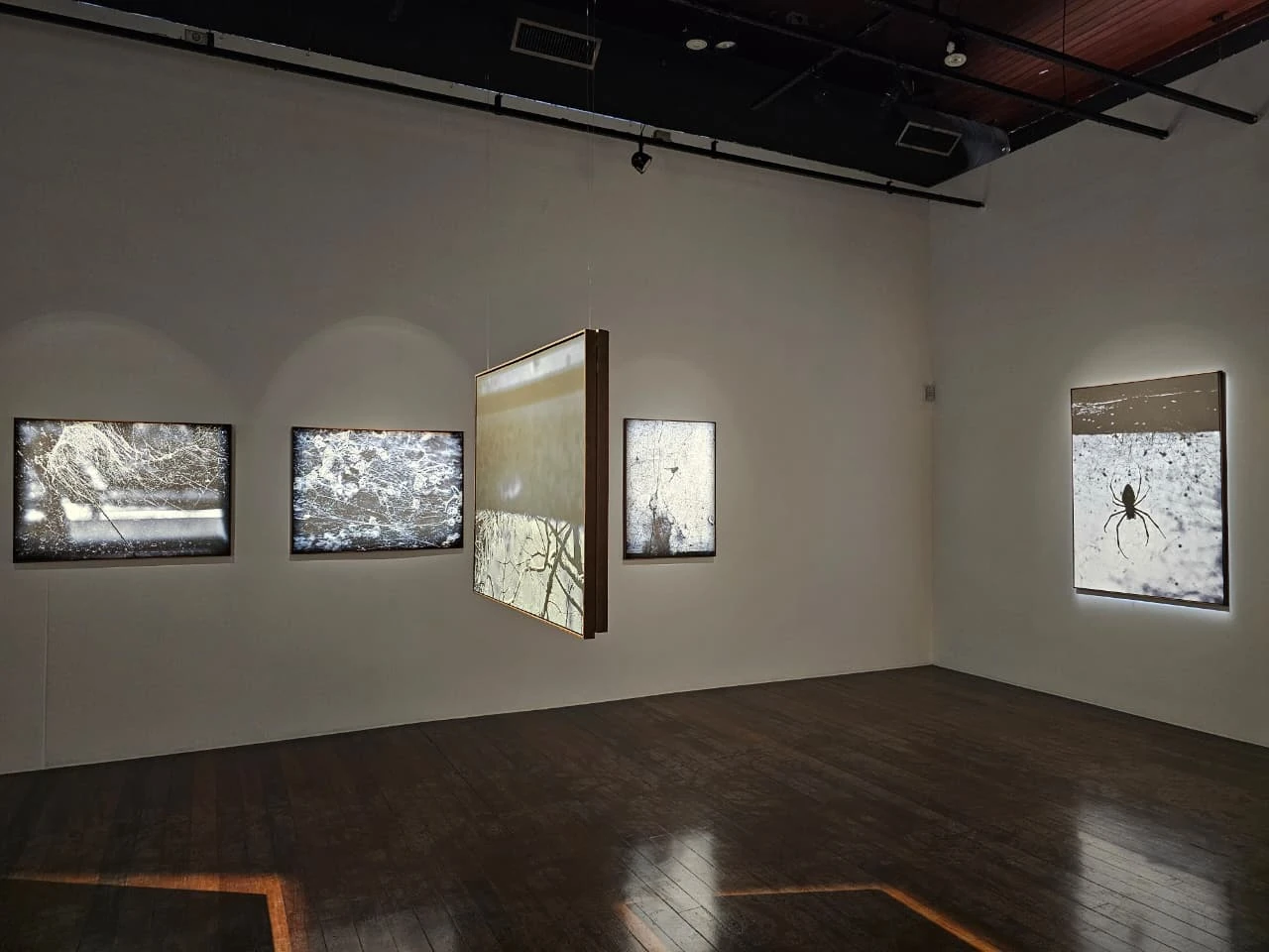 Encontro íntimo com Sandra Gonçalves na exposição da morte