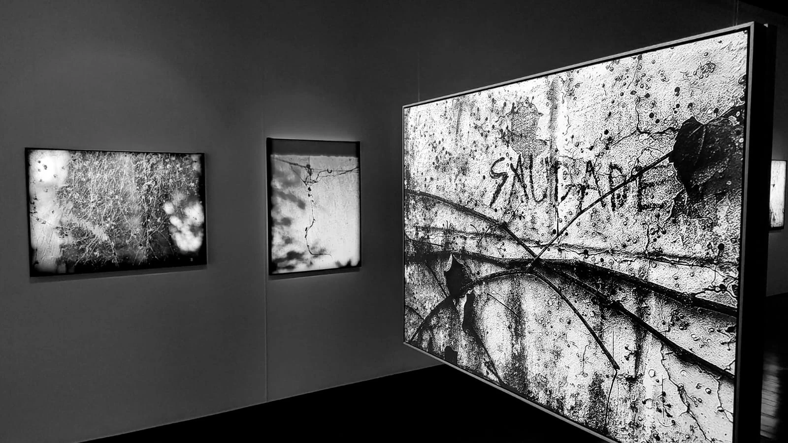 Encontro íntimo com Sandra Gonçalves na exposição da morte