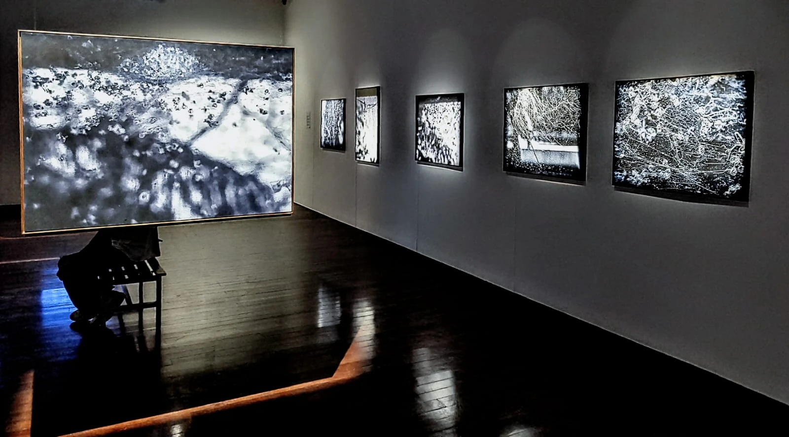 Encontro íntimo com Sandra Gonçalves na exposição da morte