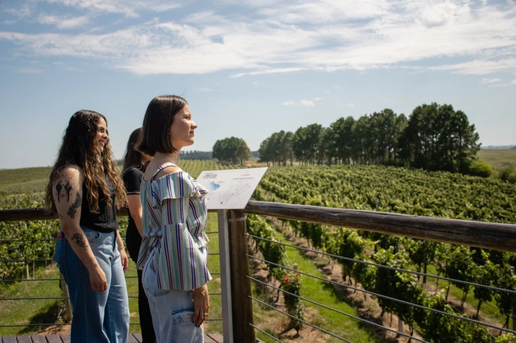 Almadén celebra 50 anos de Tannat com roteiro sensorial