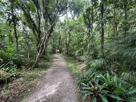Joinville ao ar livre encanta com trilhas e eventos em família