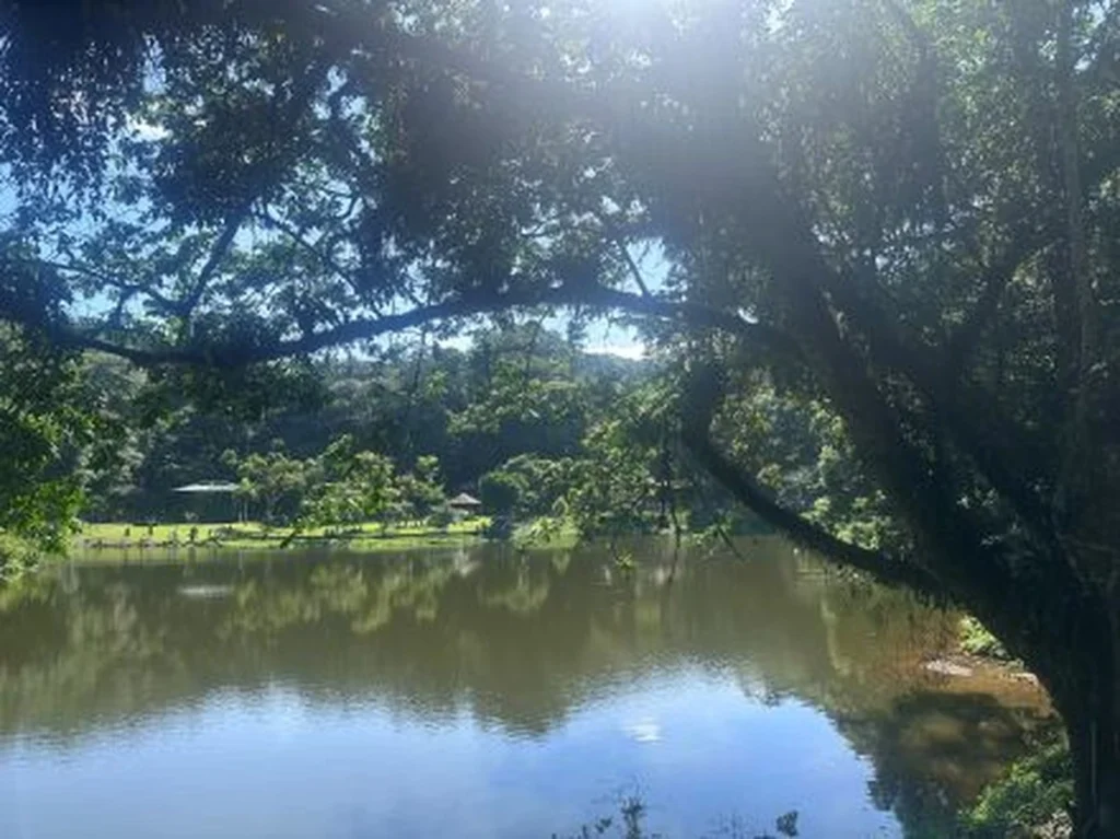 Joinville ao ar livre encanta com trilhas e eventos em família