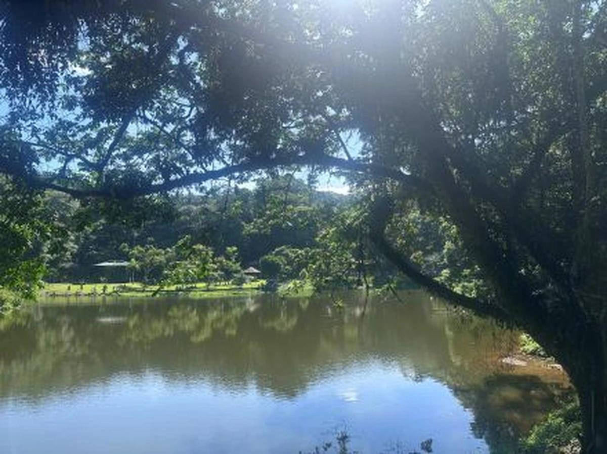 Joinville ao ar livre encanta com trilhas e eventos em família