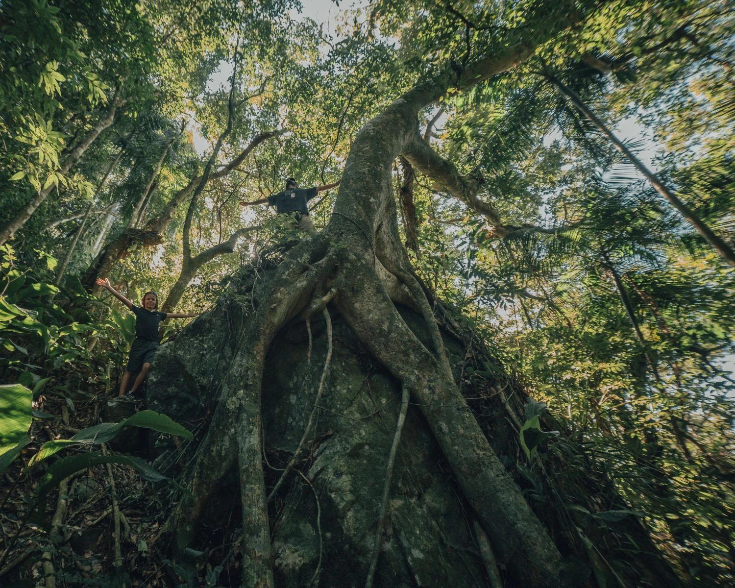 Costao do Santinho vence prêmio mais tradicional de ecologia do Brasil