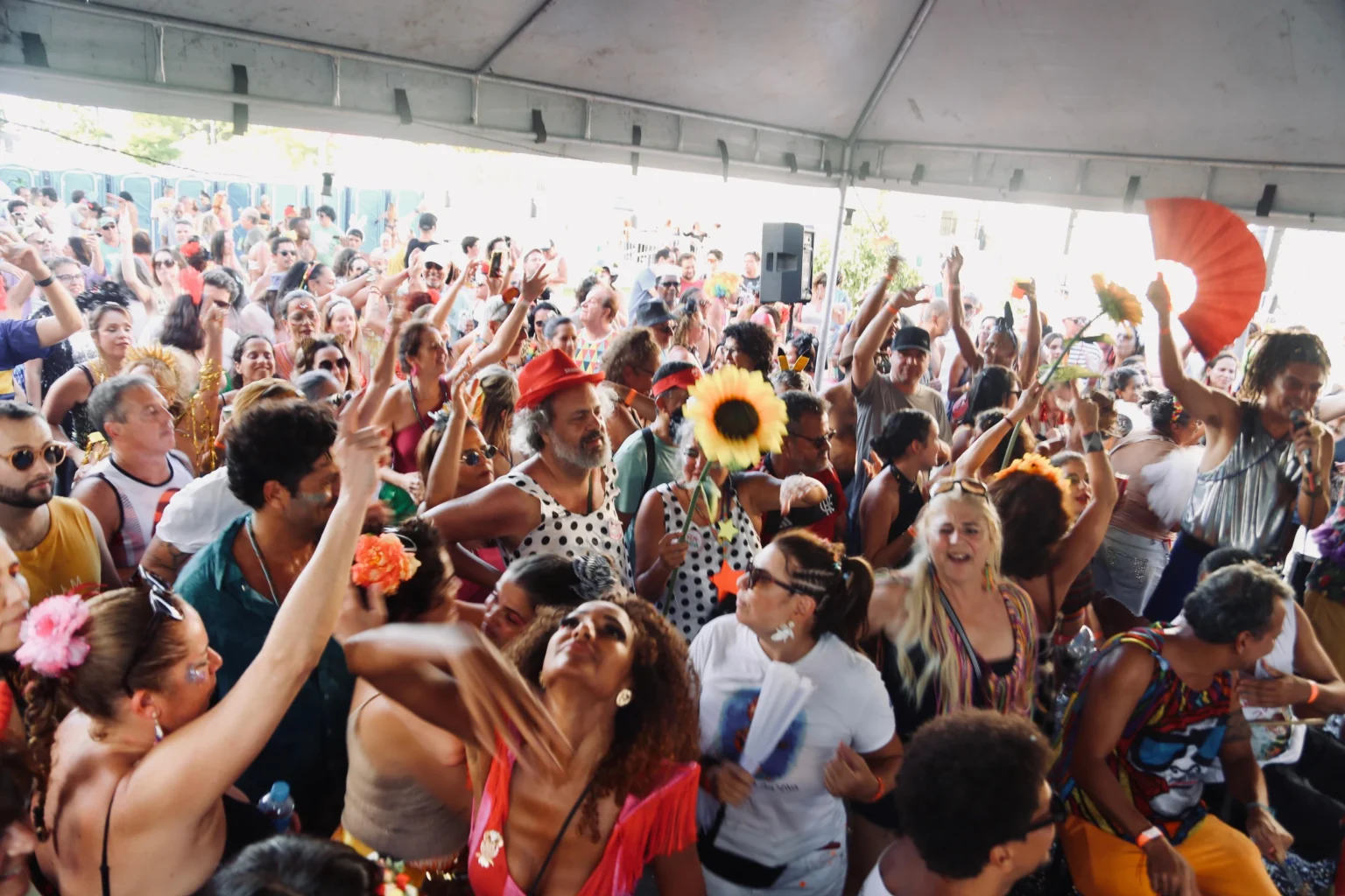 samba do andre.webp