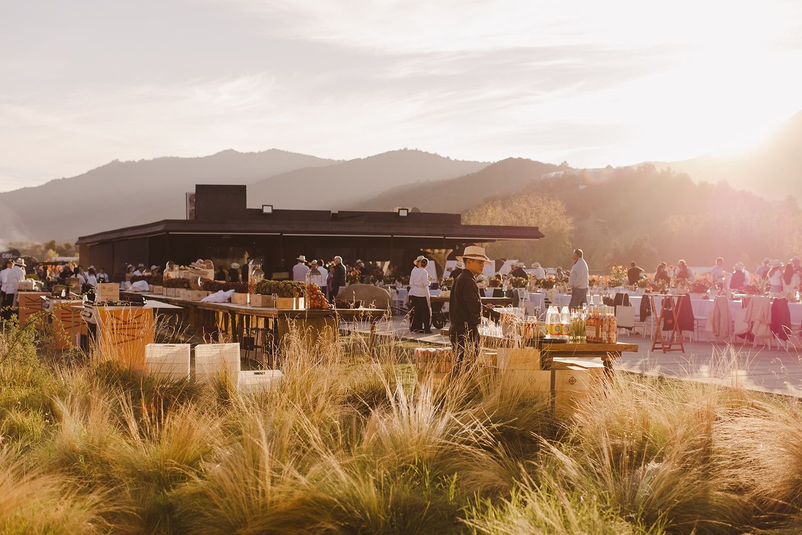 Vendimia VIK 2026 promete imersão sensorial no Chile