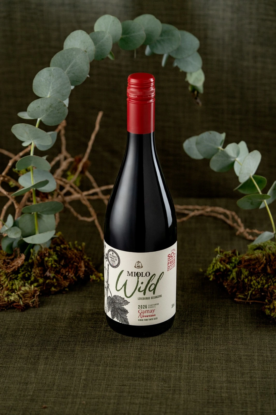 Miolo Wild Gamay 2026: o primeiro tinto da safra no mercado