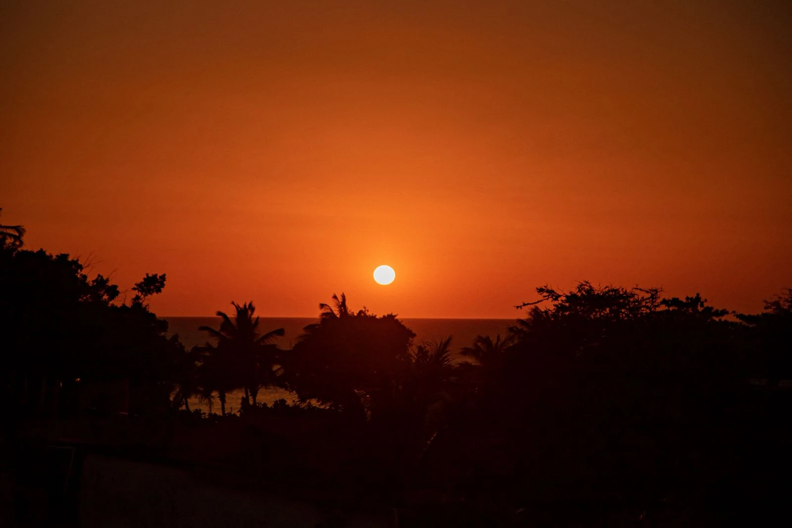 Alchymist abre rooftop 360° com alma italiana em Jeri