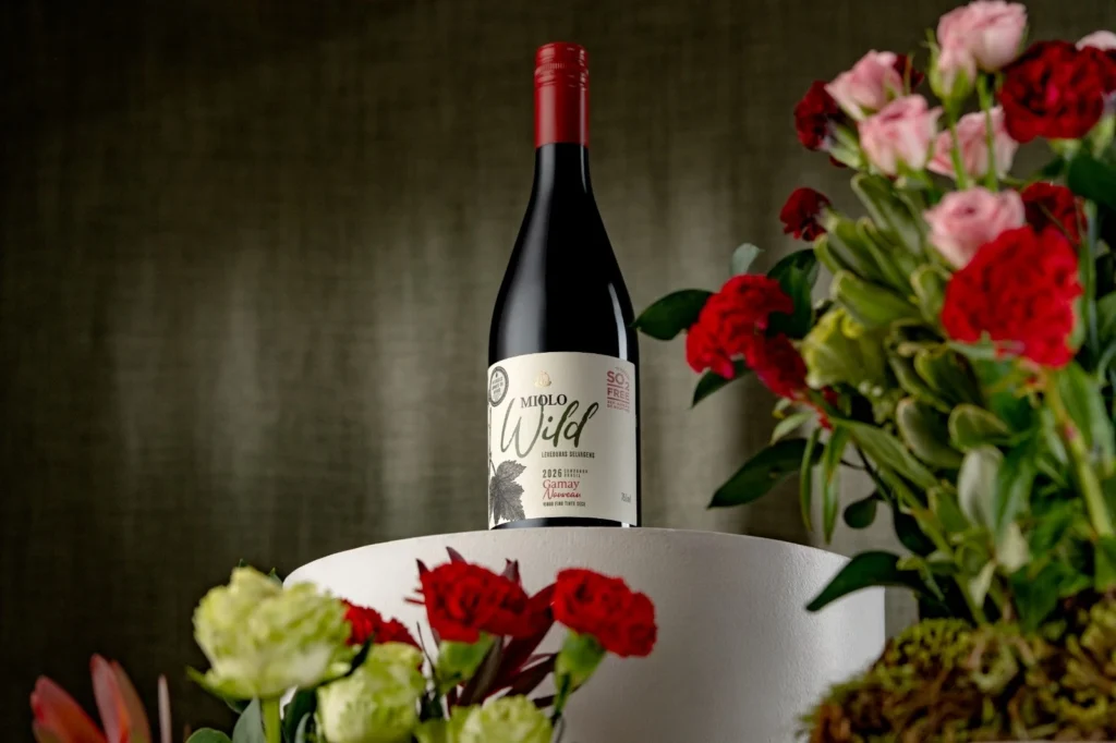 Miolo Wild Gamay 2026: o primeiro tinto da safra no mercado