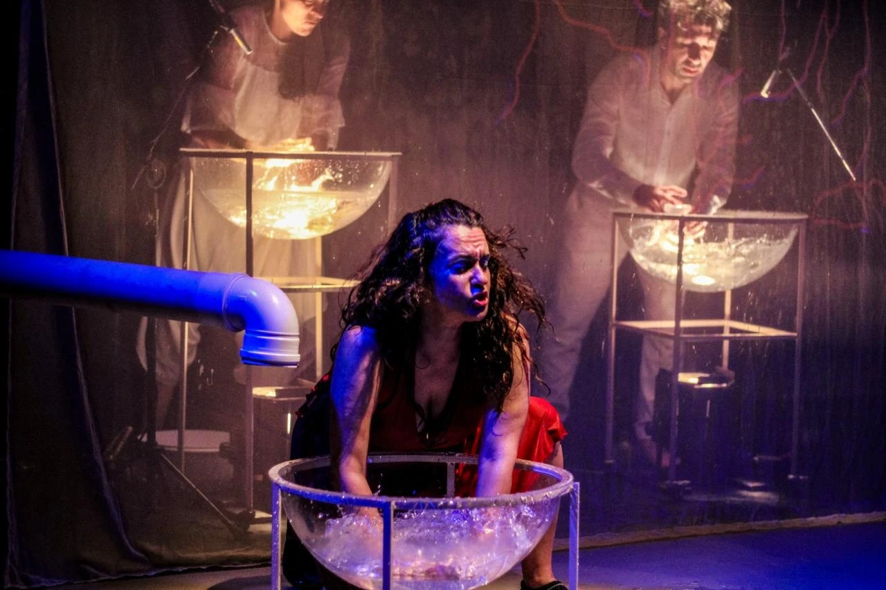 Oficina gratuita mergulha no Cavalo Marinho em SP