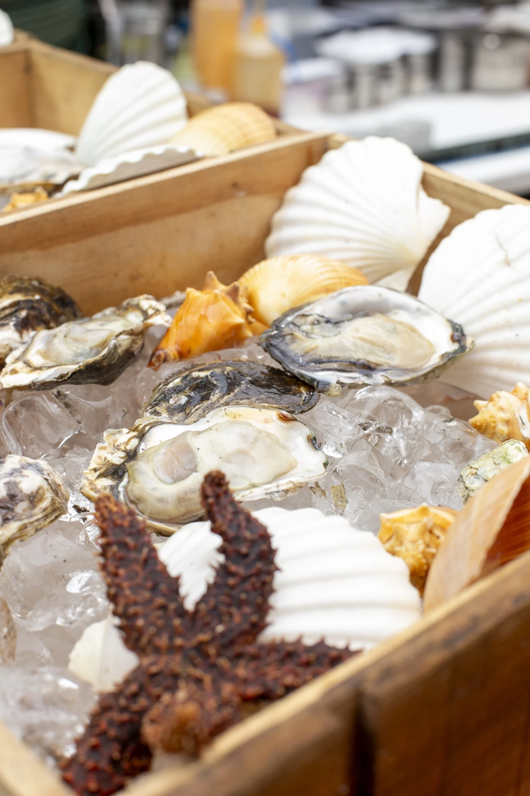 O mar encontra a brasa no Oyster Bar do K.Sa