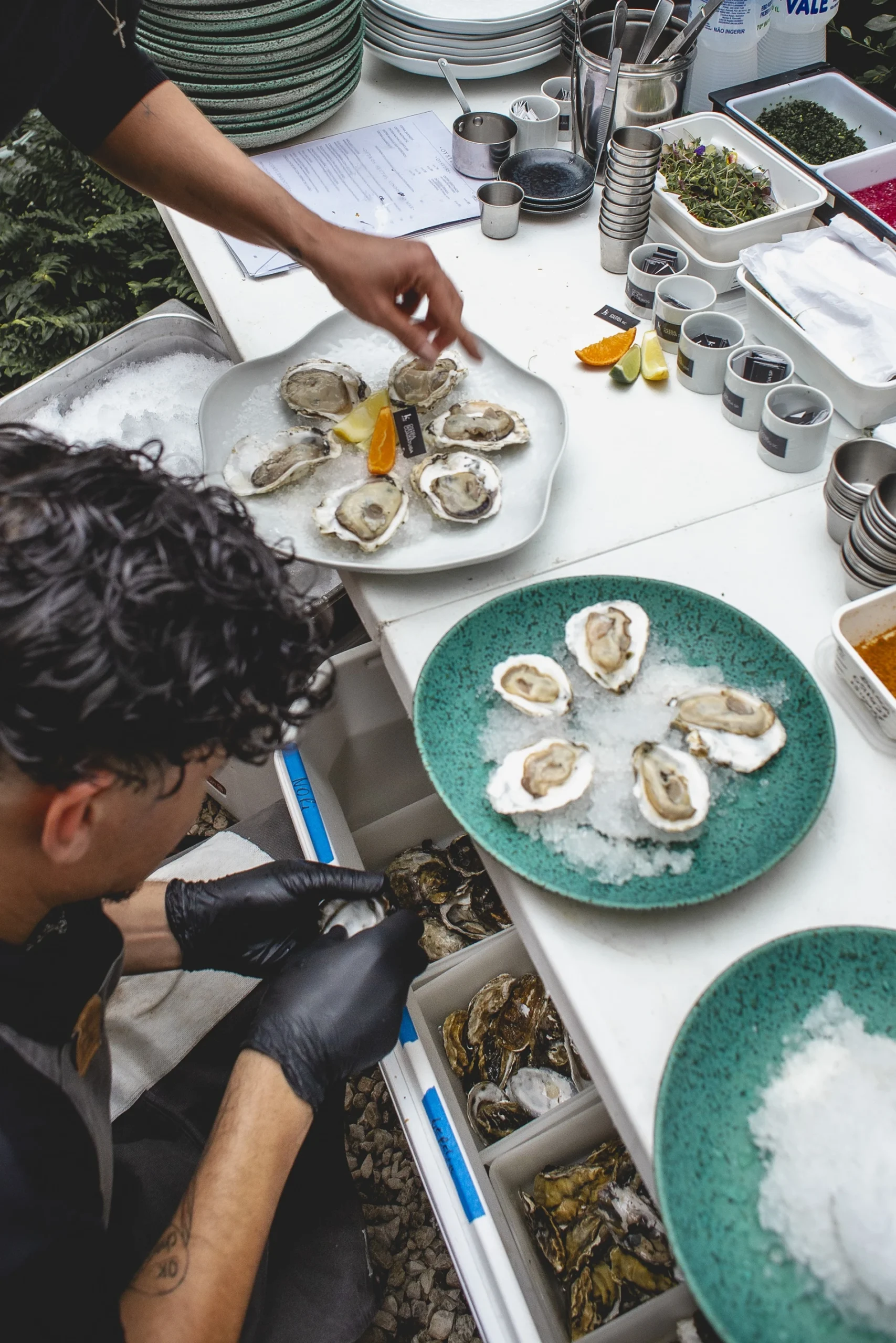 O mar encontra a brasa no Oyster Bar do K.Sa