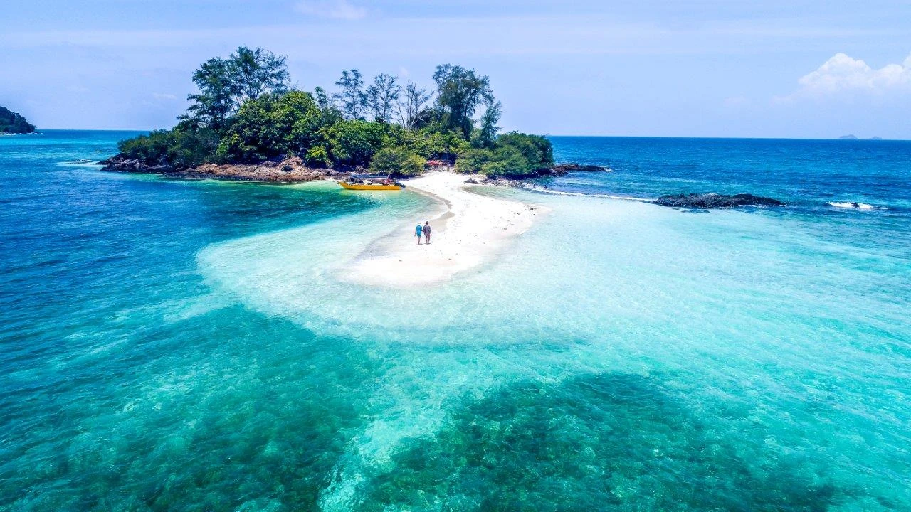 Buceo en Malasia: Sipadan y arrecifes protegidos