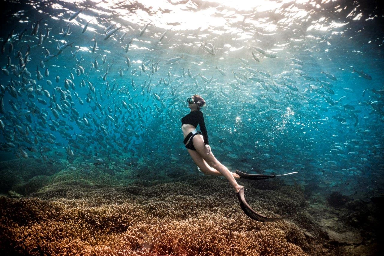 Buceo en Malasia: Sipadan y arrecifes protegidos