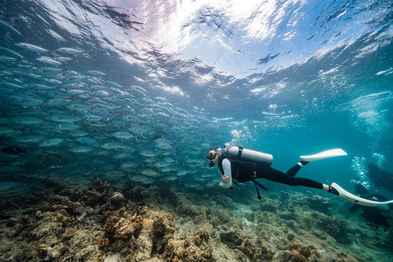 Buceo en Malasia: Sipadan y arrecifes protegidos