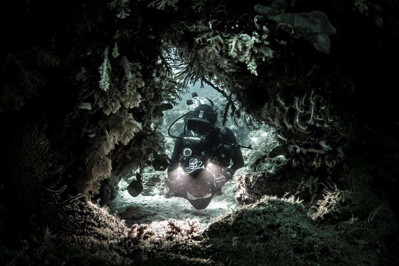 Buceo en Malasia: Sipadan y arrecifes protegidos