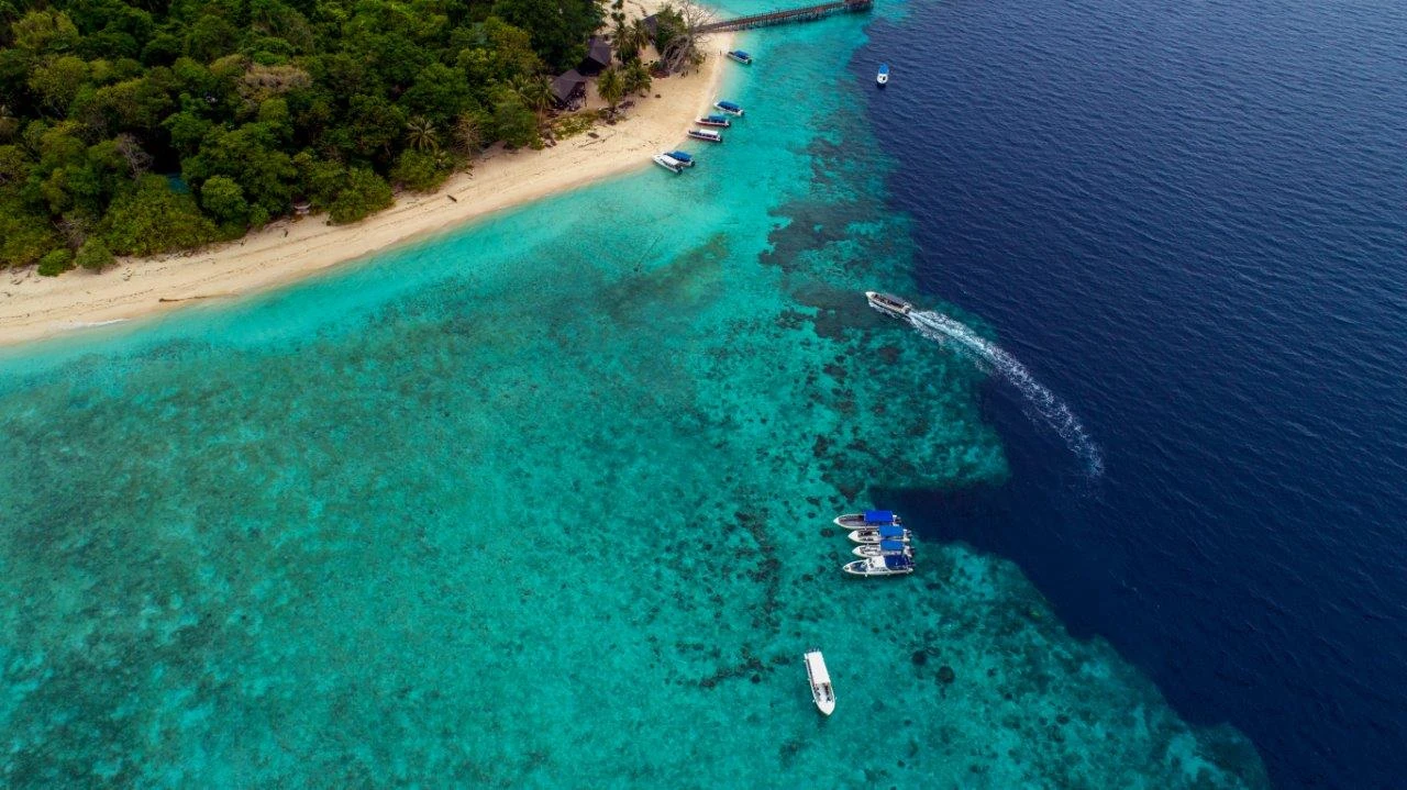 Buceo en Malasia: Sipadan y arrecifes protegidos