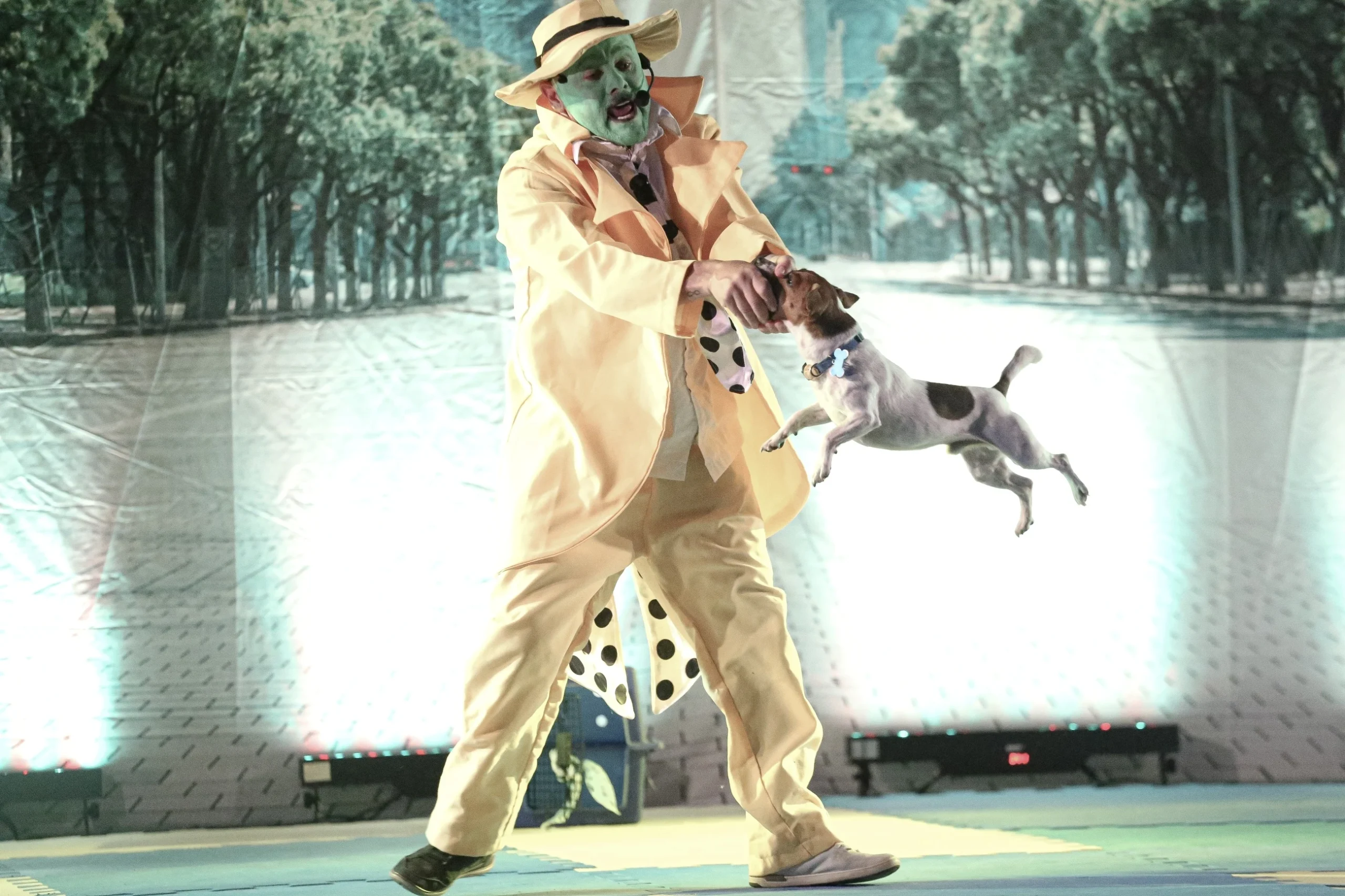 Espetáculo com cães em cena emociona Santa Cruz do Sul