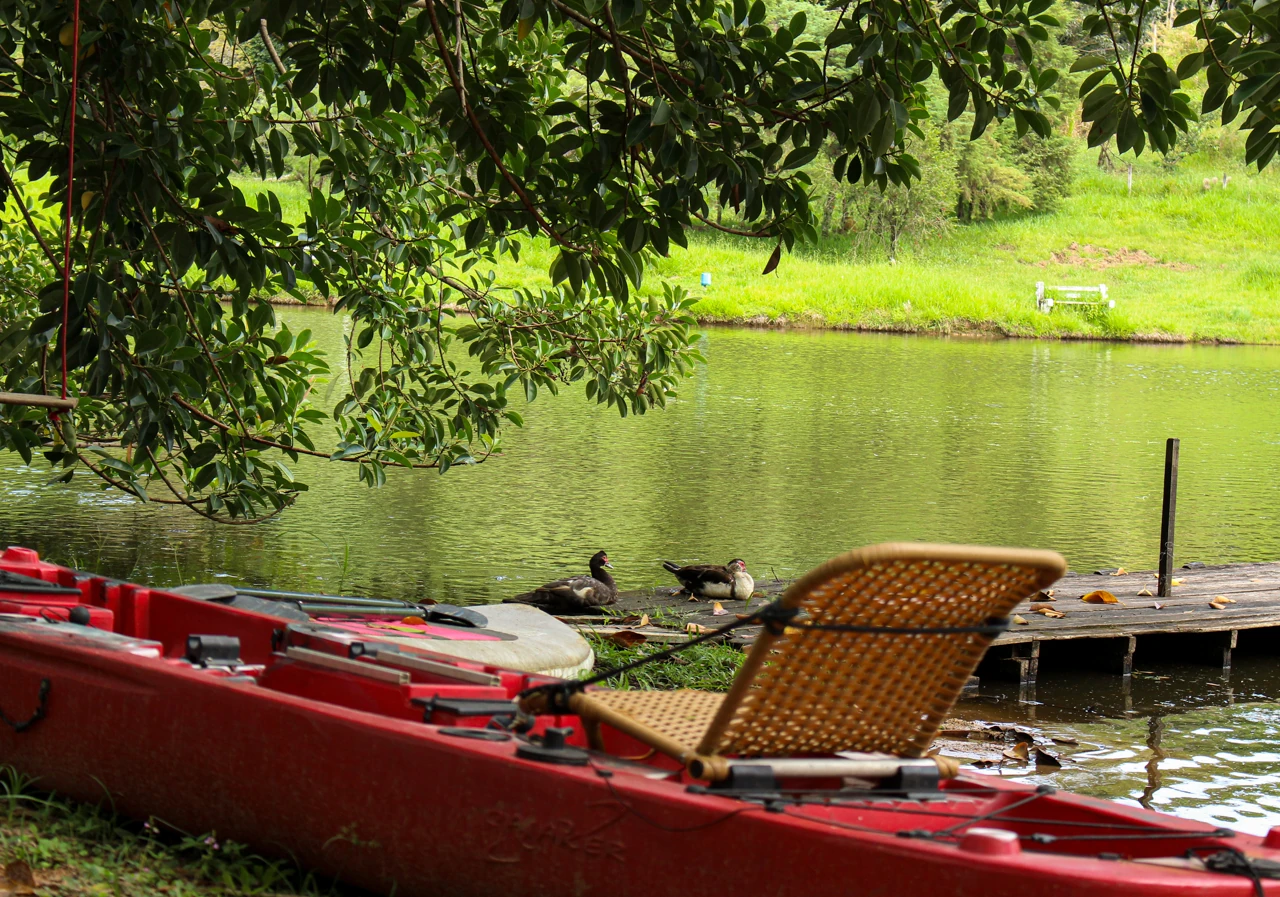 Onze:20 renasce com Joey Mattos e show intimista em SP 2 Onze:20 renasce com Joey Mattos e show intimista em SP