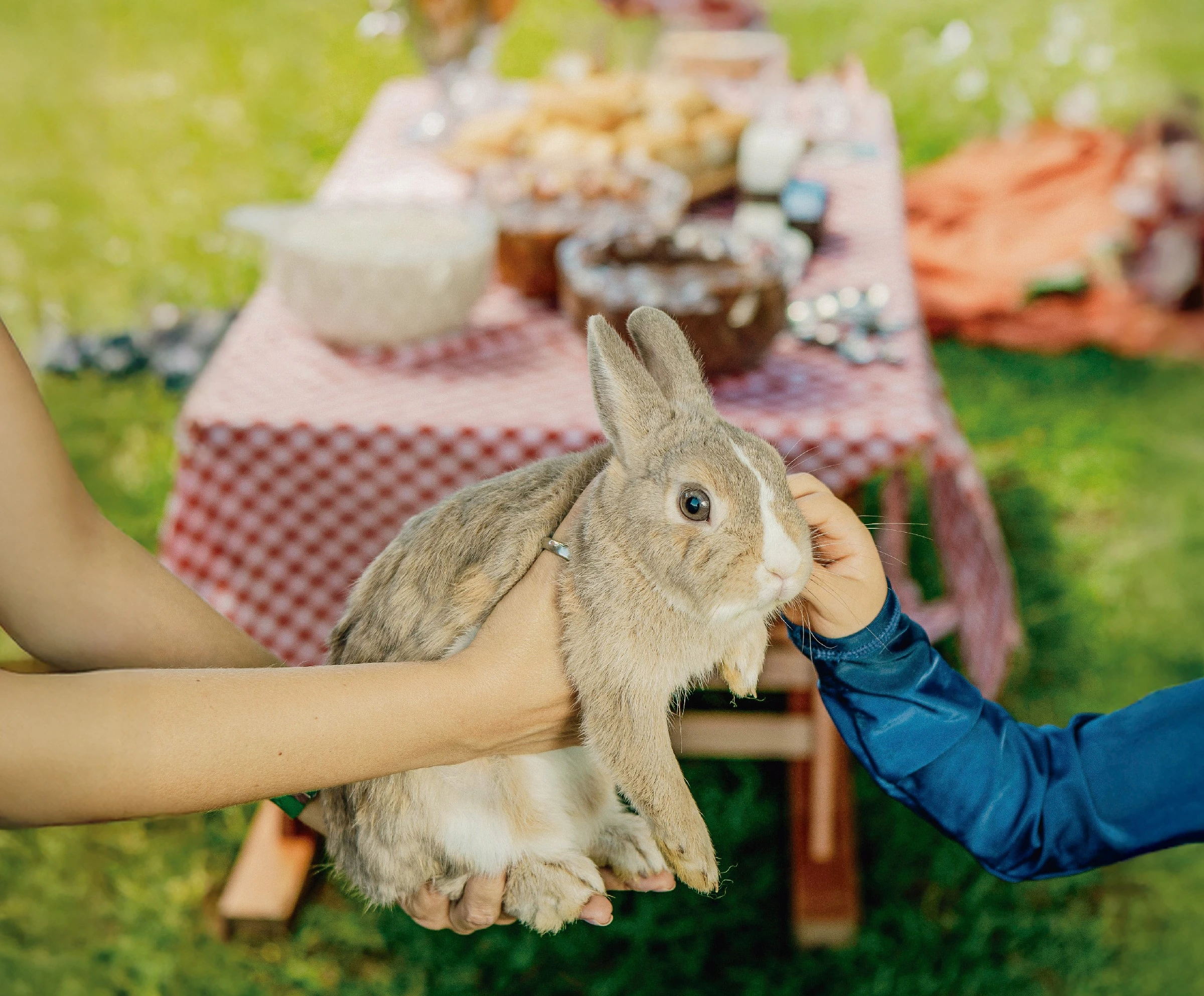 Páscoa 2026: Clara Resorts promete 4 dias de imersão na natureza