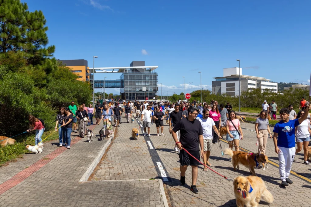 Março no Passeio: música, feiras e St. Patrick animam Florianópolis