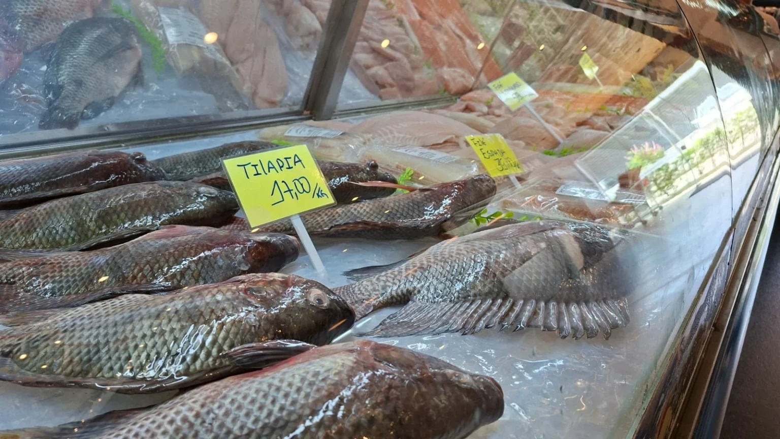 Peixes frescos s o uma tima op o para quaresma e almo o de P scoa. cr dito Juliano Zanotelli