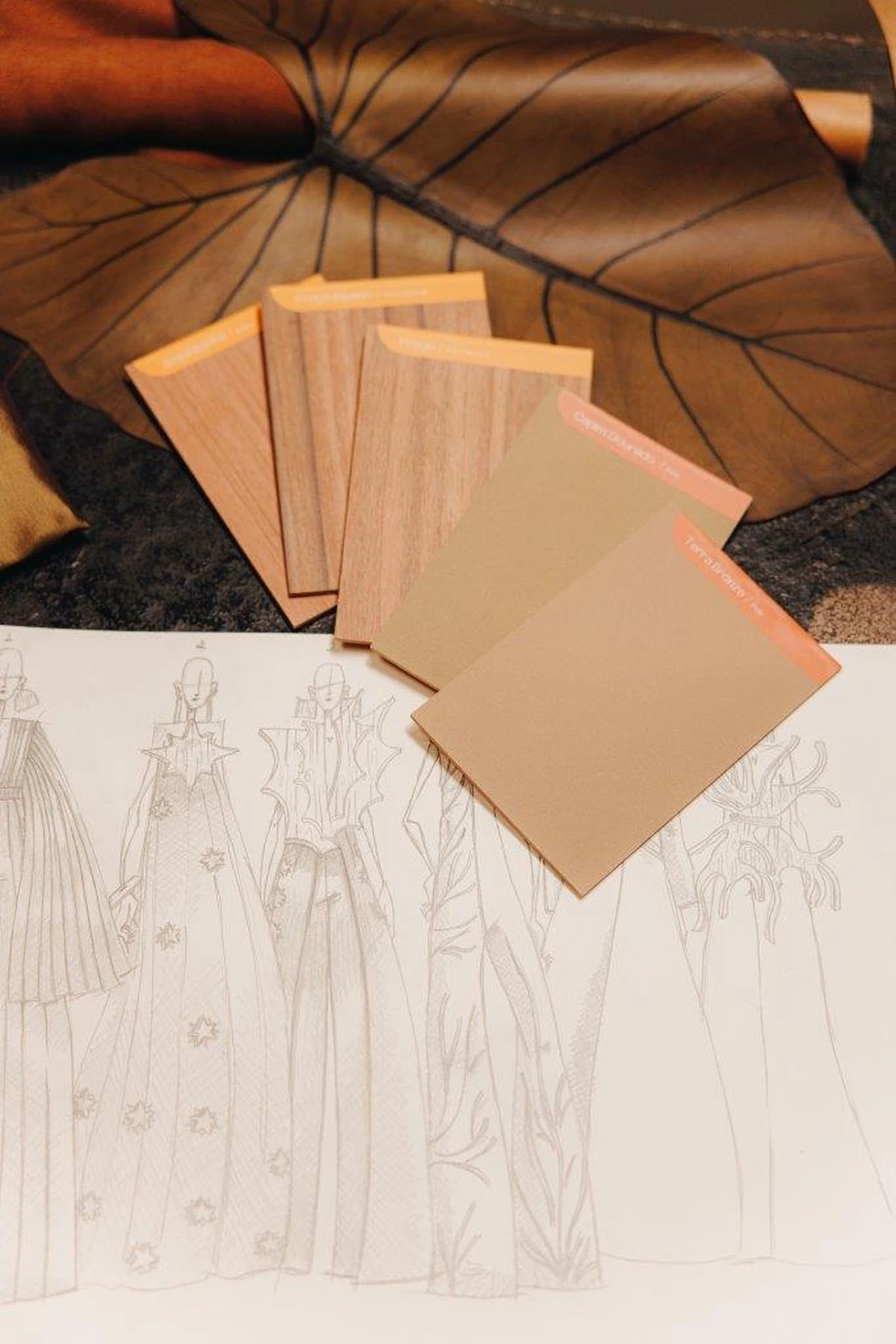 Pinacoteca vira passarela da Coleção Botânica inspirada na Mata Atlântica 1 Pinacoteca vira passarela da Coleção Botânica inspirada na Mata Atlântica