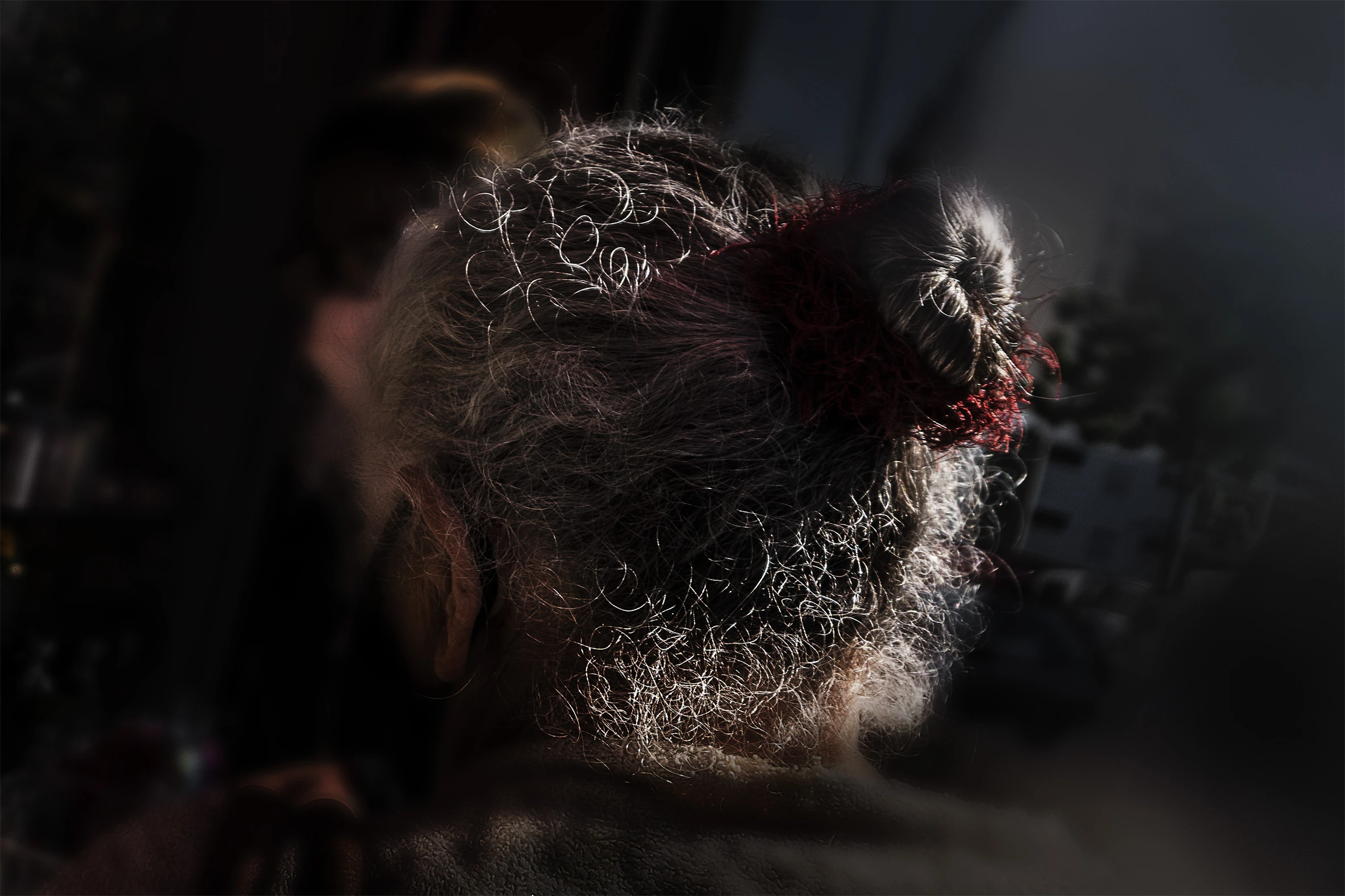 Lucia Lang fala sobre fotografia e São Paulo no MIS