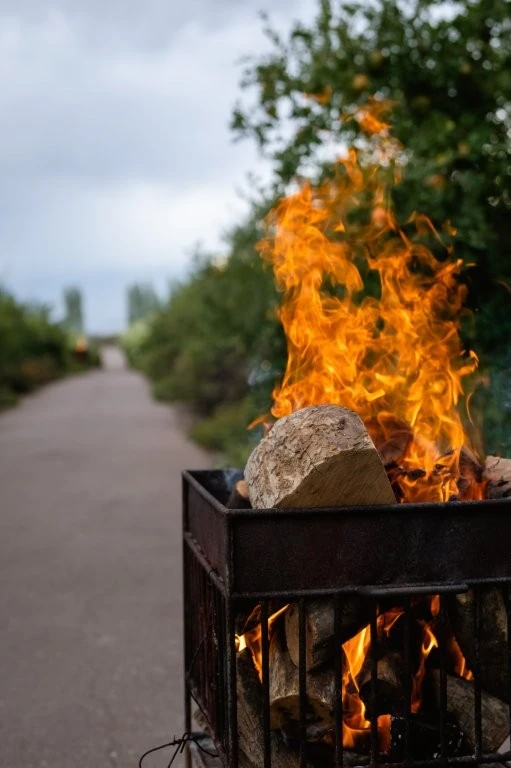 Vendimia no Awasi Mendoza: colheita vira experiência