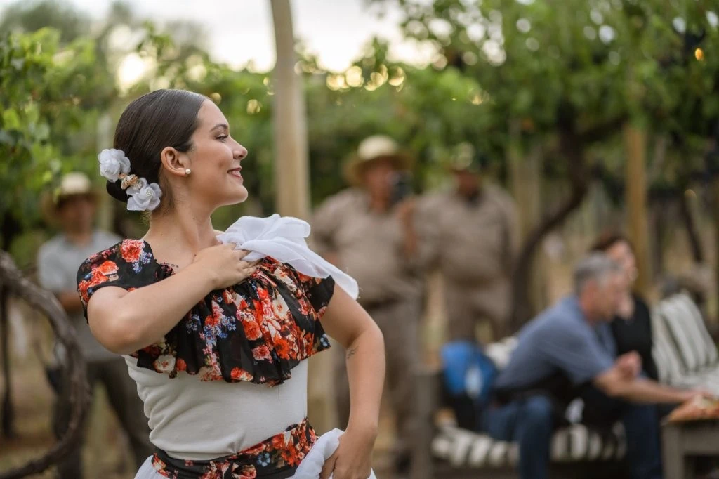 Vendimia no Awasi Mendoza: colheita vira experiência