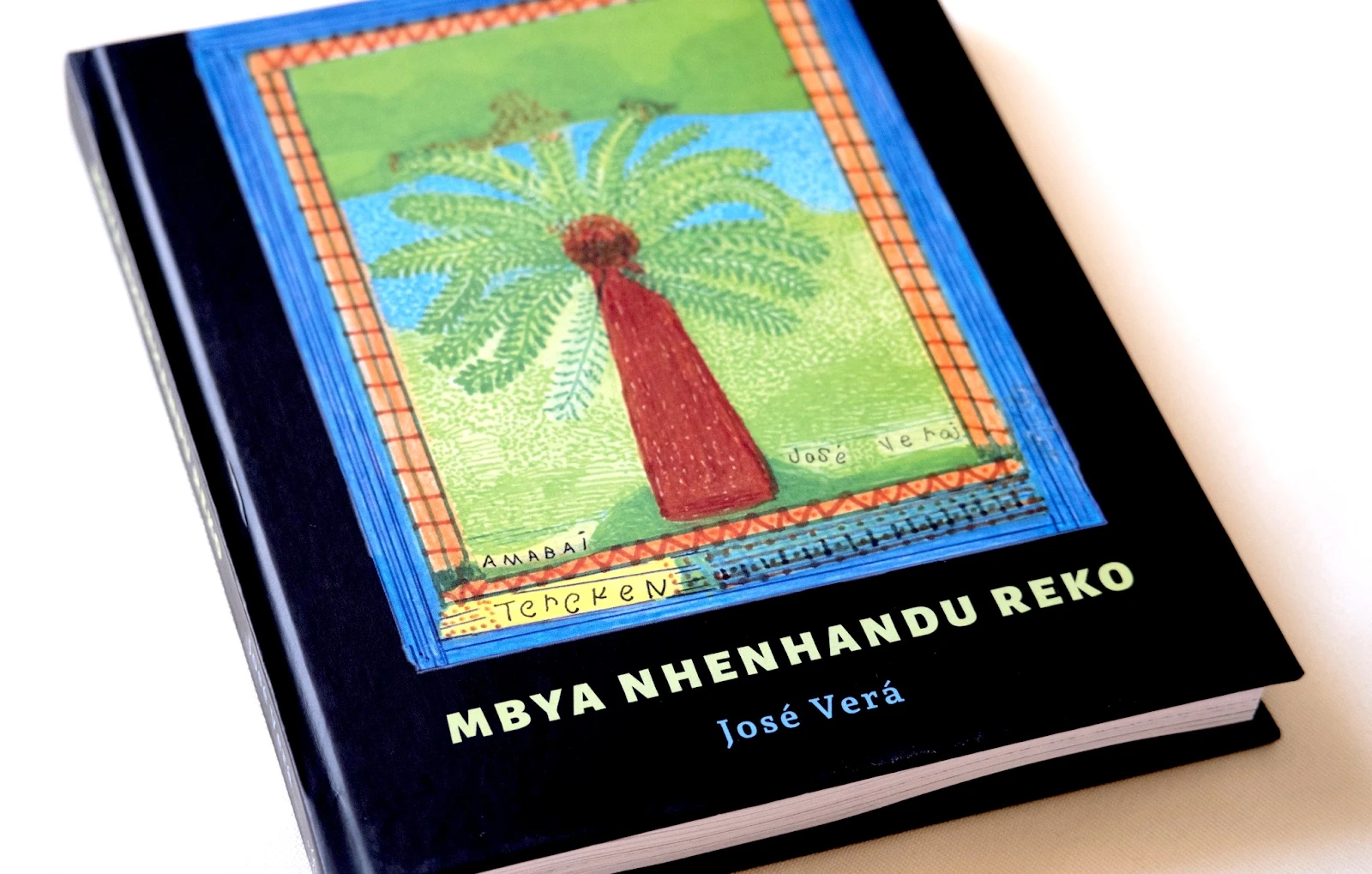 José Verá lança livro bilíngue da sabedoria guarani