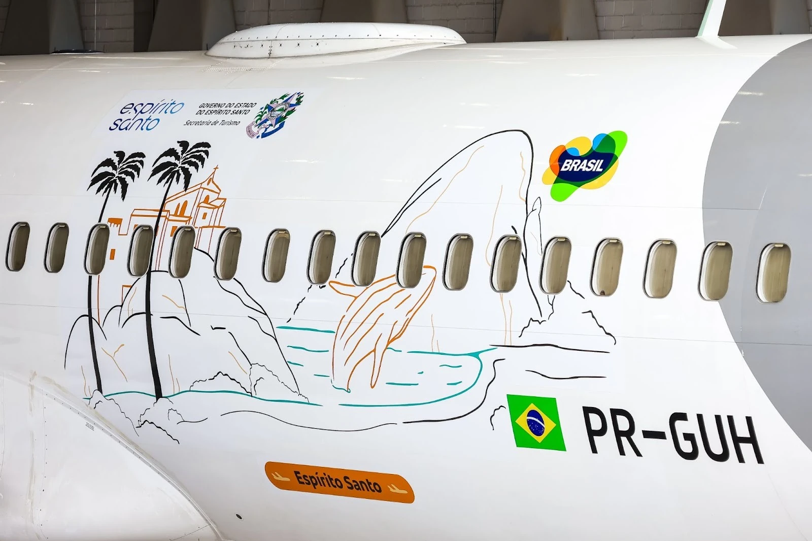 GOL leva o Espírito Santo aos céus em novo Boeing temático